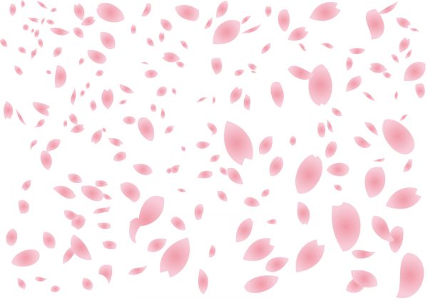 桜吹雪、さくら、お花見