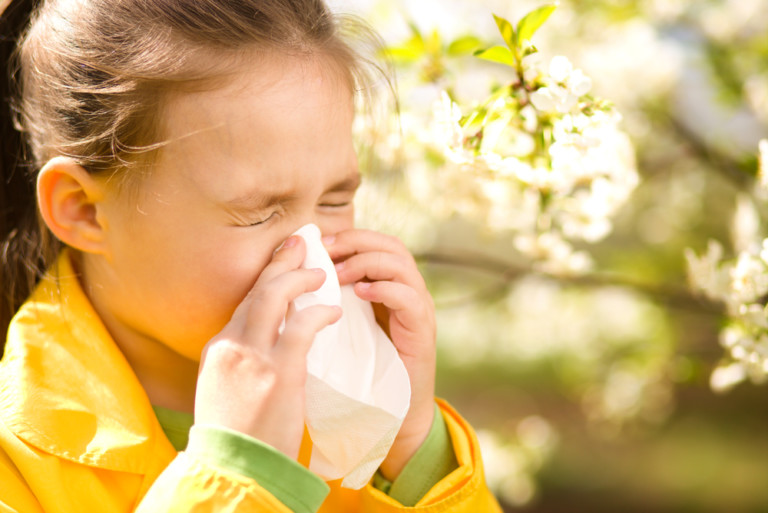 アレルギー性疾患、アレルギー、鼻炎、花粉症、allergy、花粉症対策