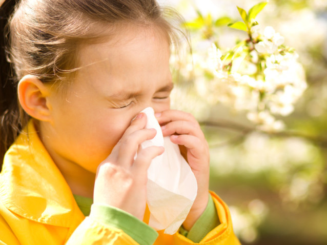 アレルギー性疾患、アレルギー、鼻炎、花粉症、allergy、花粉症対策